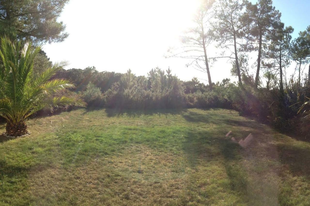 Maison Architecte Bois Du Kador A Morgat Crozon Exterior foto