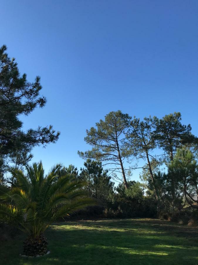 Maison Architecte Bois Du Kador A Morgat Crozon Exterior foto